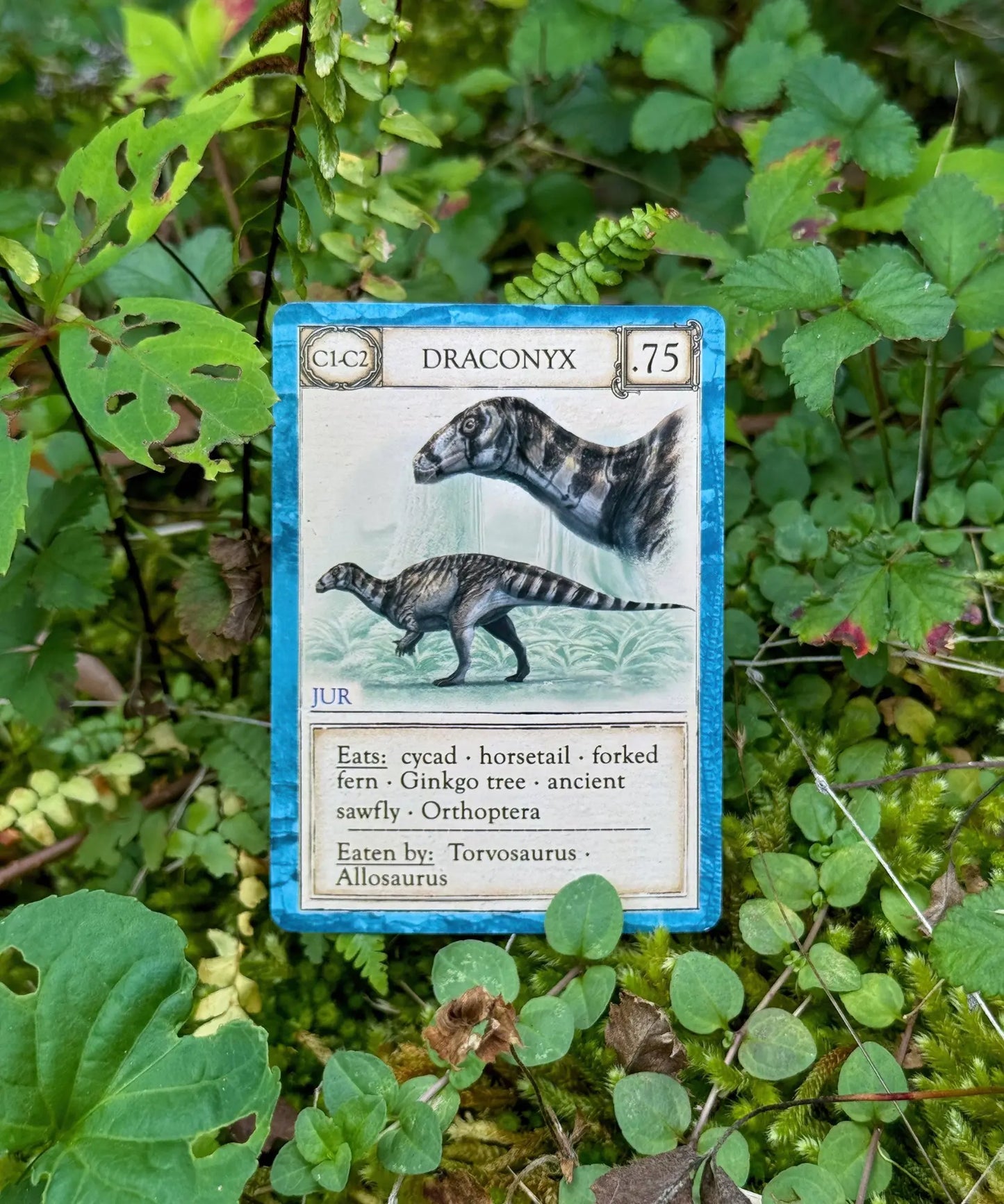 Draconyx Jurassic organism card from Ecologies Ancient Areas prehistoric food web game