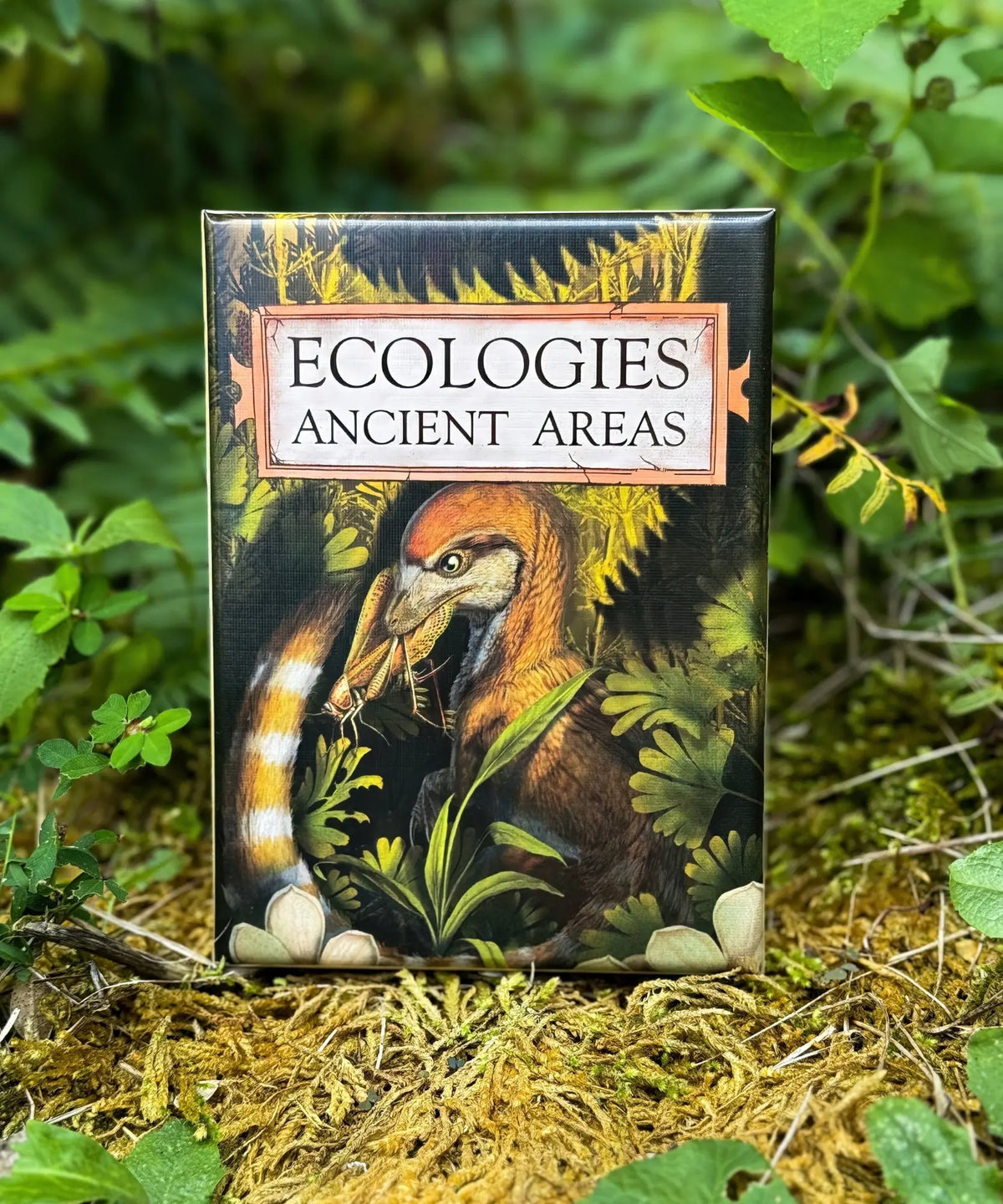 Ecologies Ancient Areas prehistoric ecology game box displayed outdoors among moss and woodland plants