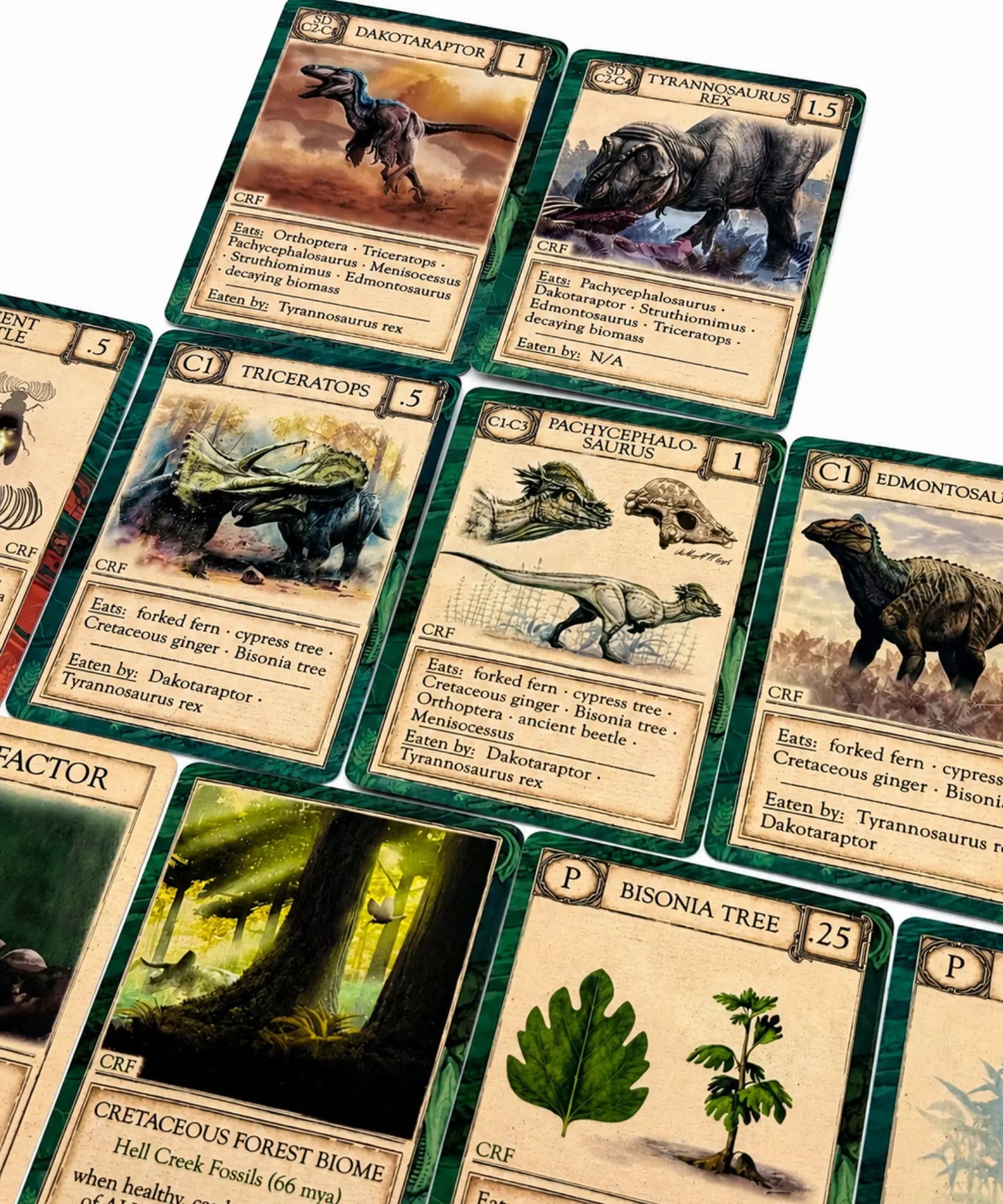 A set of illustrated dinosaur and prehistoric-themed cards layout from Ecologies Ancient Area Card Game