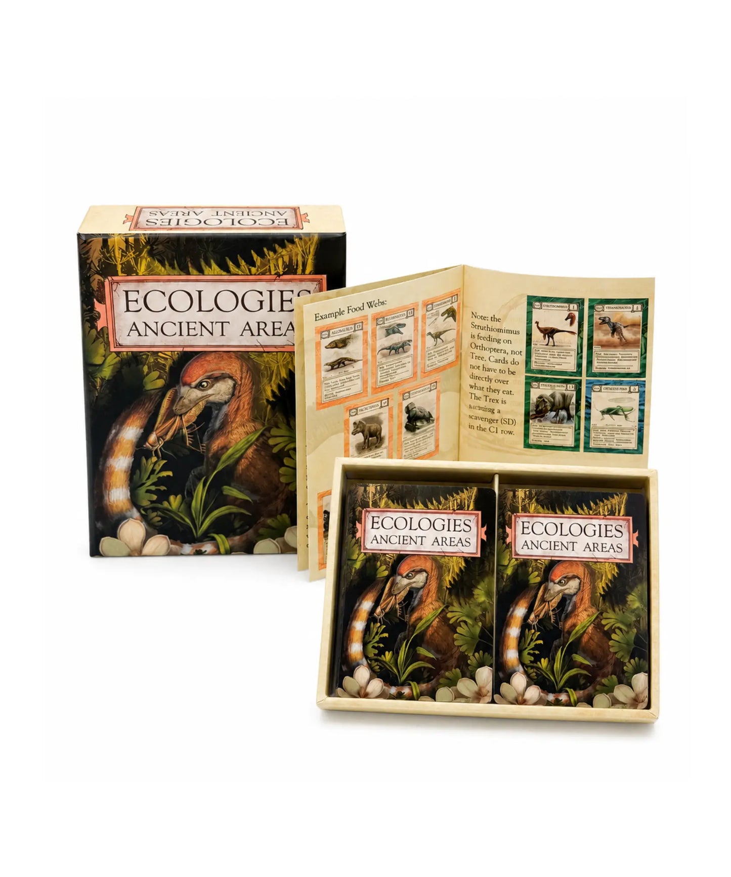 Ecologies Ancient Areas educational card game set with the box, instruction booklet, and two card decks displayed on a white background.
