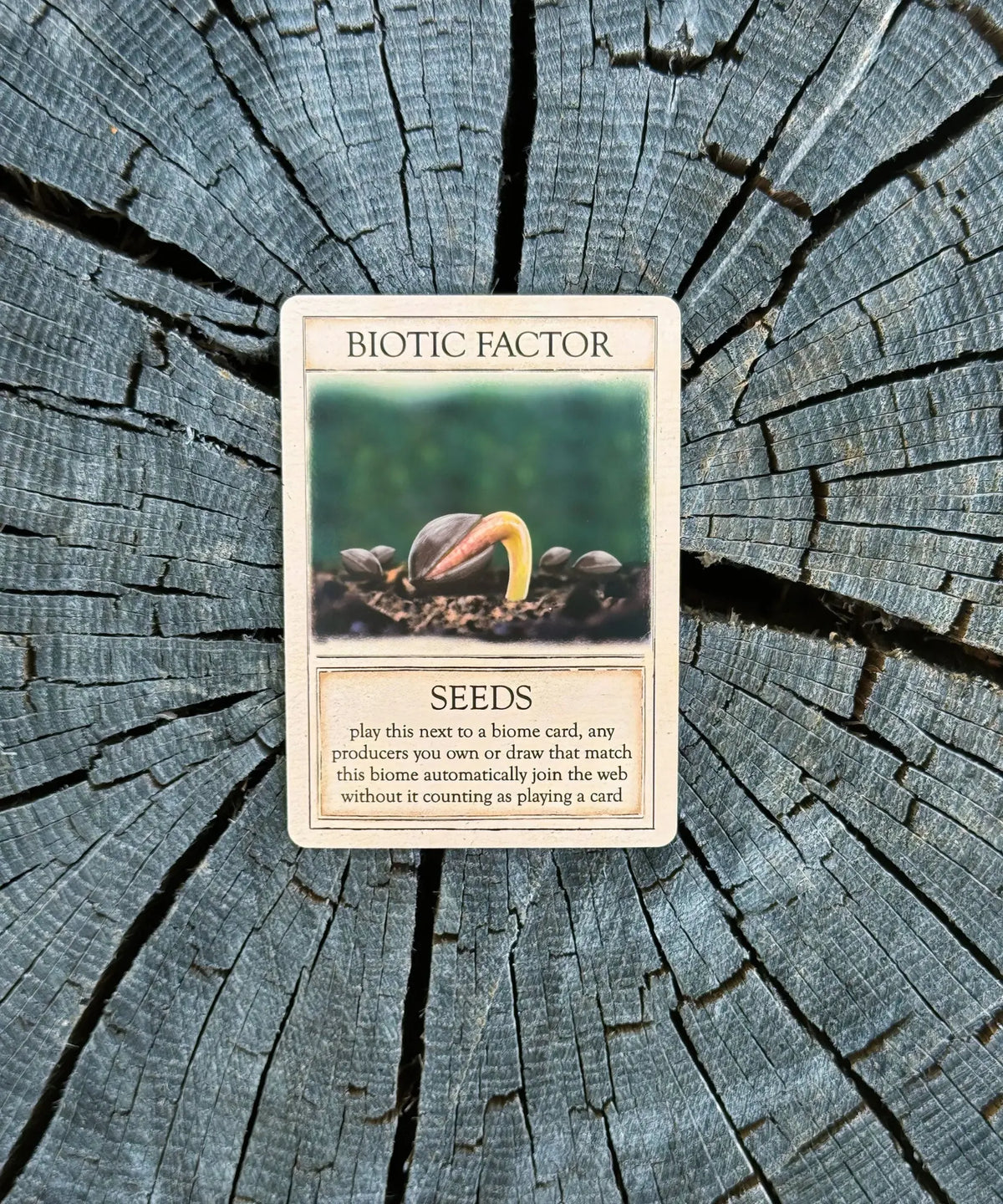 Spores biotic factor card from Ecologies Ancient Areas science strategy game