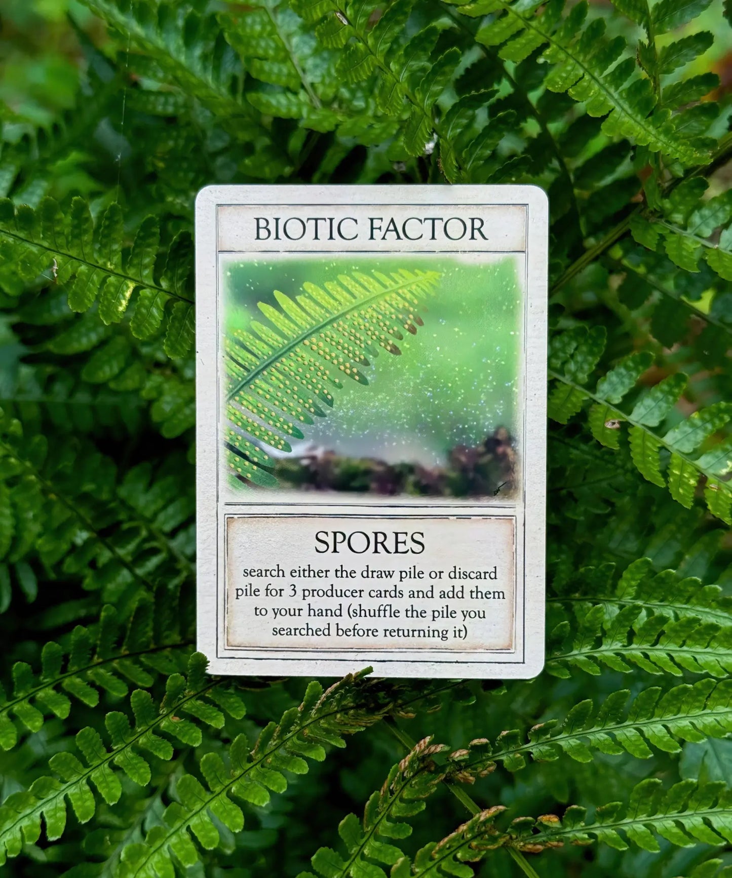Spores biotic factor card from Ecologies Ancient Areas science strategy game