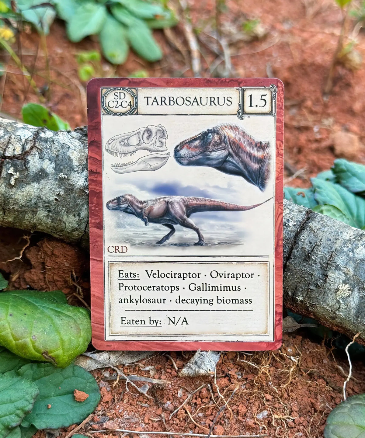 Tarbosaurus predator card from Ecologies Ancient Areas prehistoric ecology game