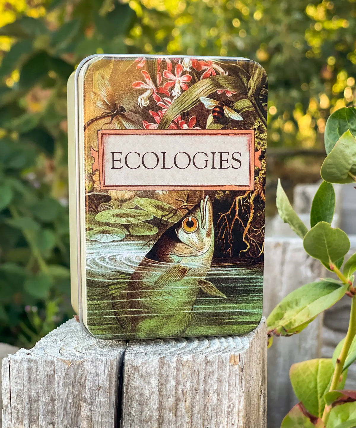 Ecologies Archerfish metal card storage tin displayed outdoors on a wooden post