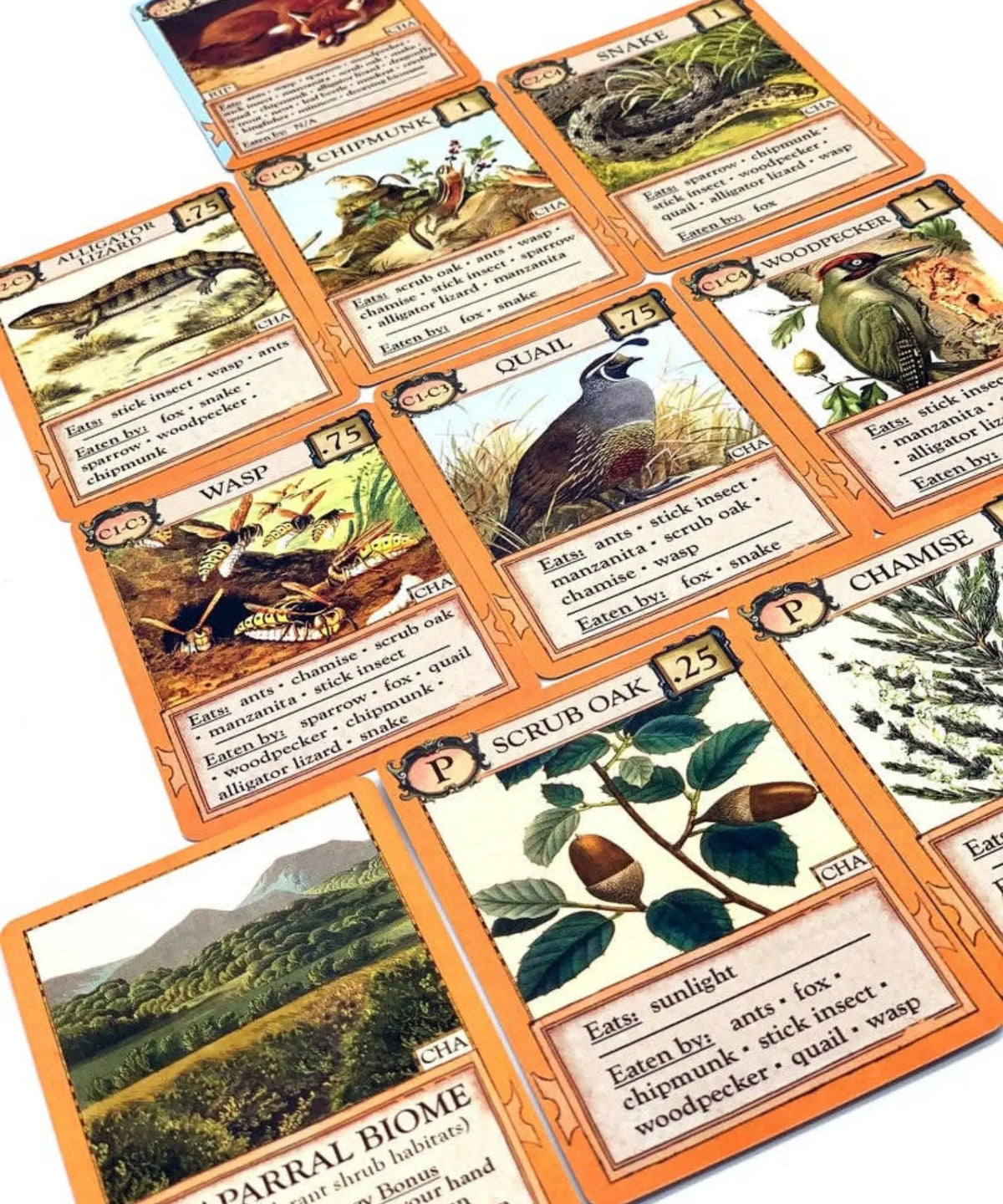 Ecologies Bizarre Biomes organism cards arranged around a chaparral biome to build a food web