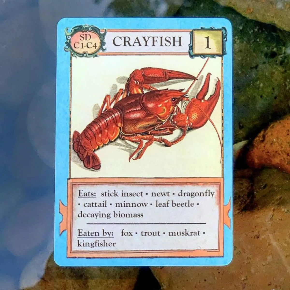 Crayfish organism card from Ecologies Bizarre Biomes food web strategy game