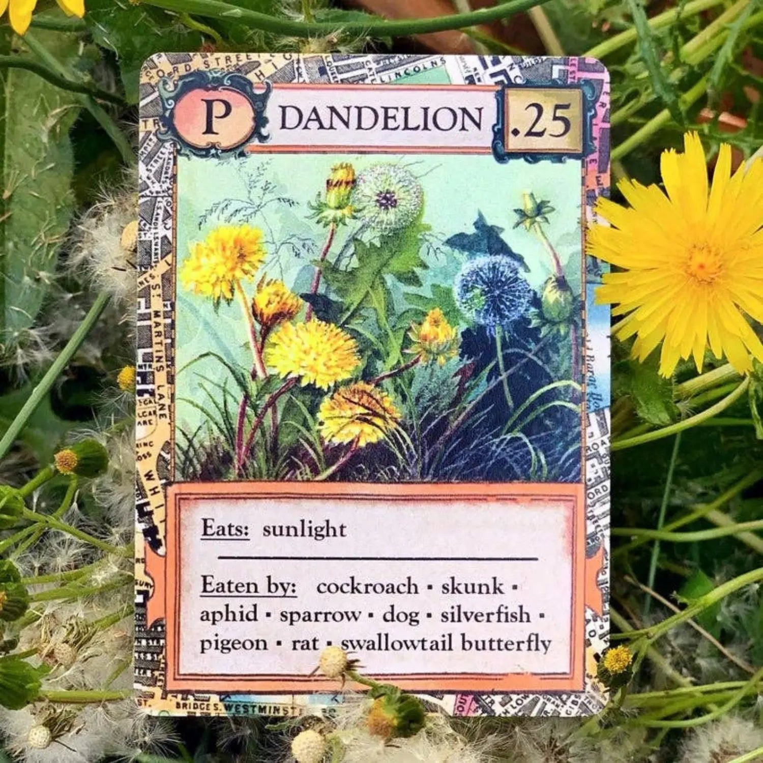 Dandelion producer card from Ecologies Bizarre Biomes ecology strategy game