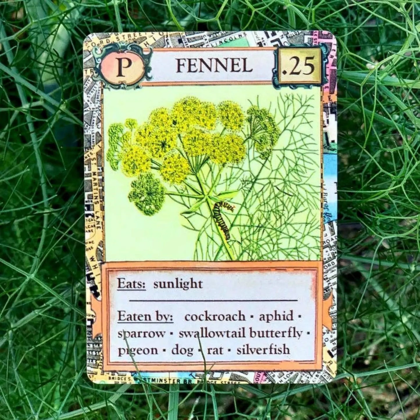 Fennel producer card from Ecologies Bizarre Biomes food web game
