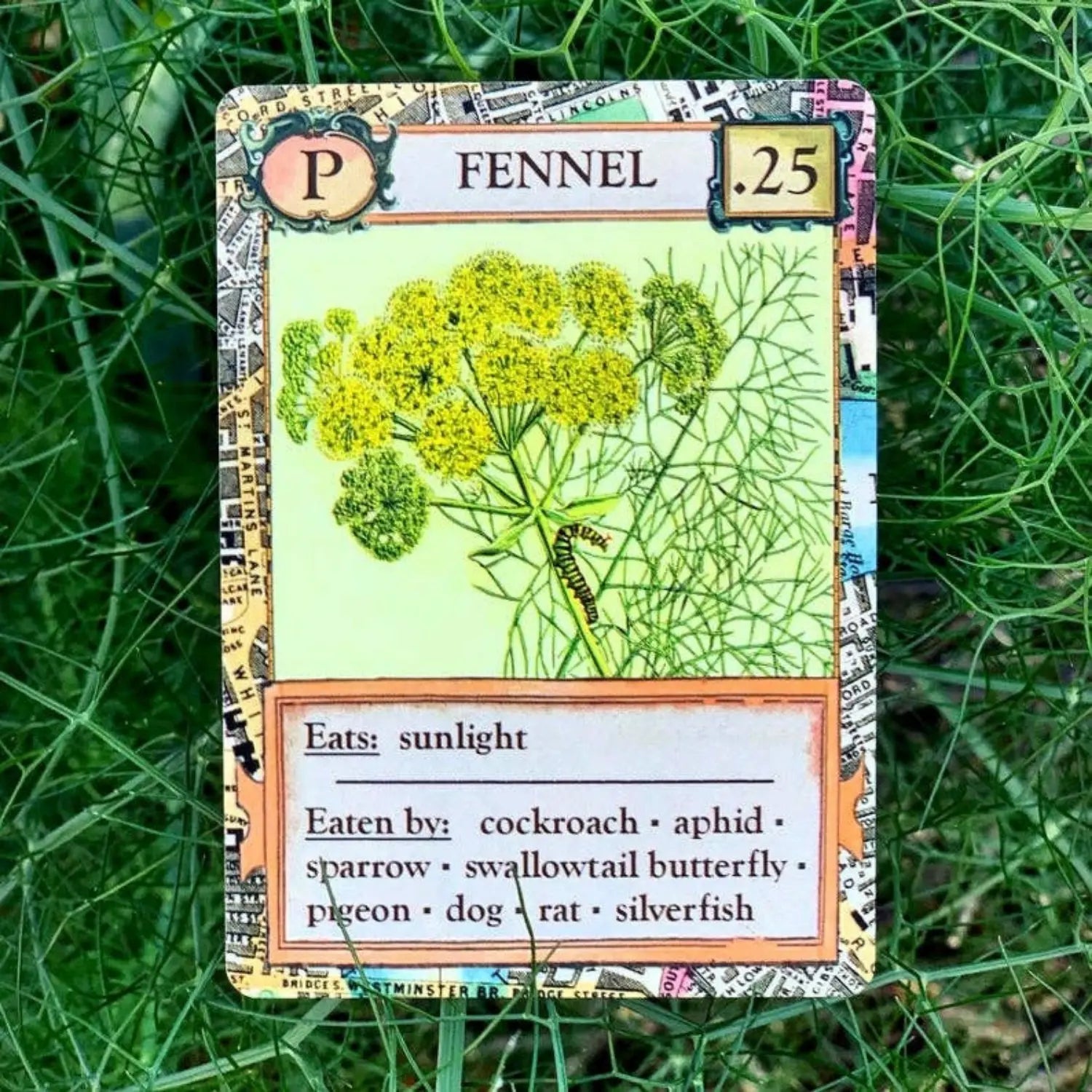 Fennel producer card from Ecologies Bizarre Biomes food web game