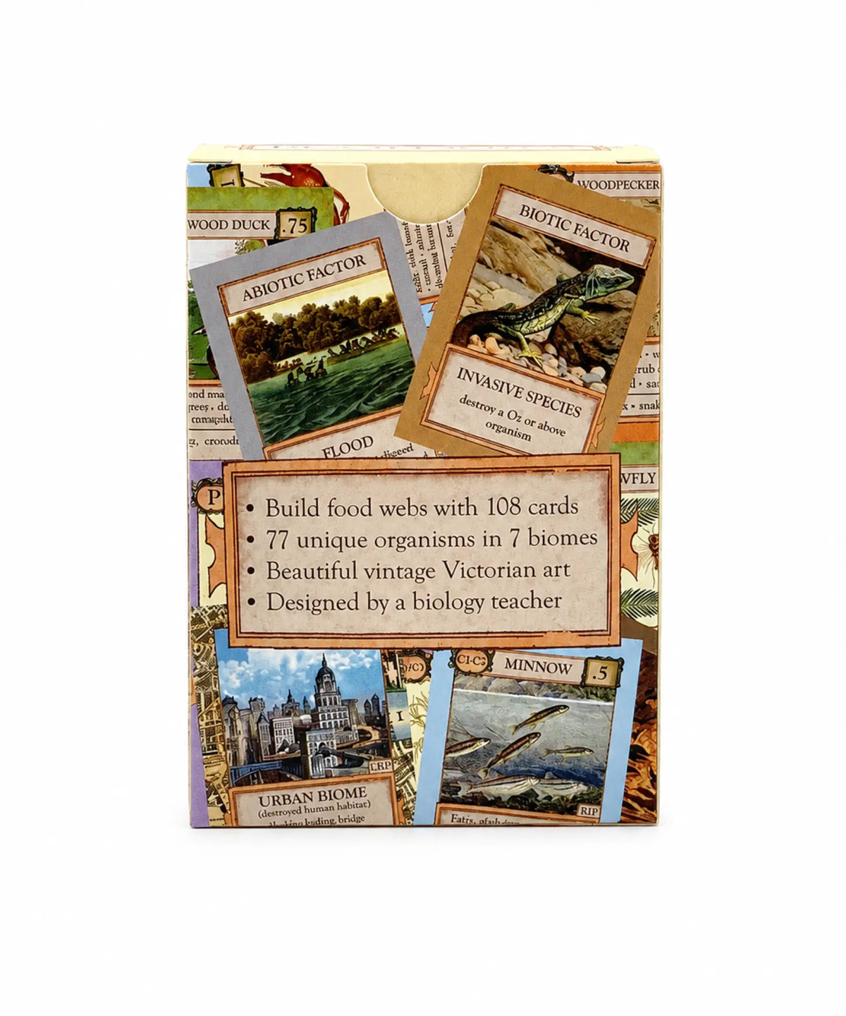 Back of Ecologies Bizarre Biomes science card game box showing food web cards, biotic and abiotic factors, and game details