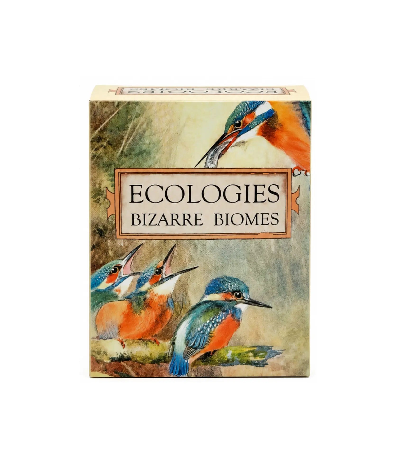 Ecologies Bizarre Biomes ecology and food web strategy game box front with illustrated kingfishers