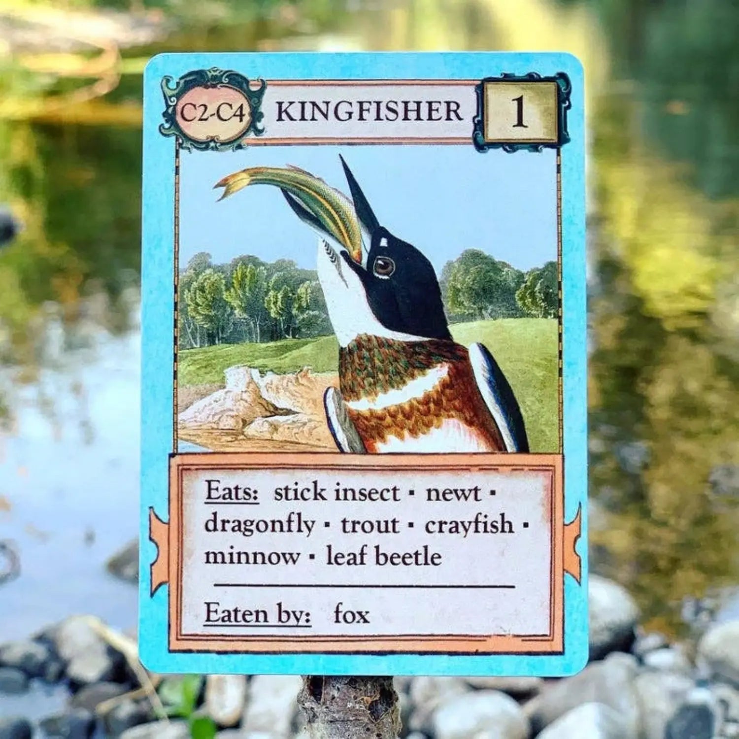 Kingfisher predator card from Ecologies Bizarre Biomes ecology game