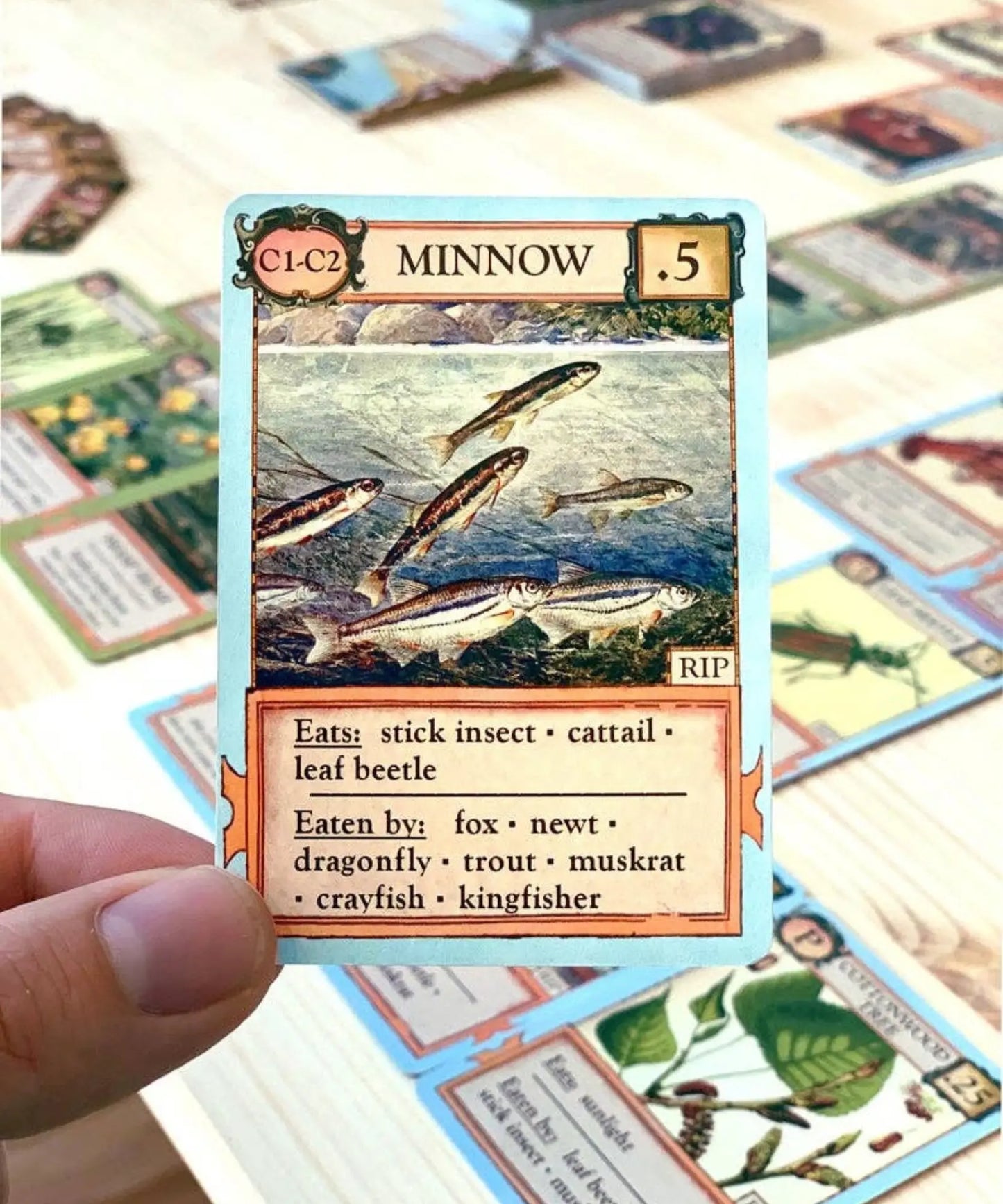 Minnow organism card from Ecologies Bizarre Biomes food web strategy game