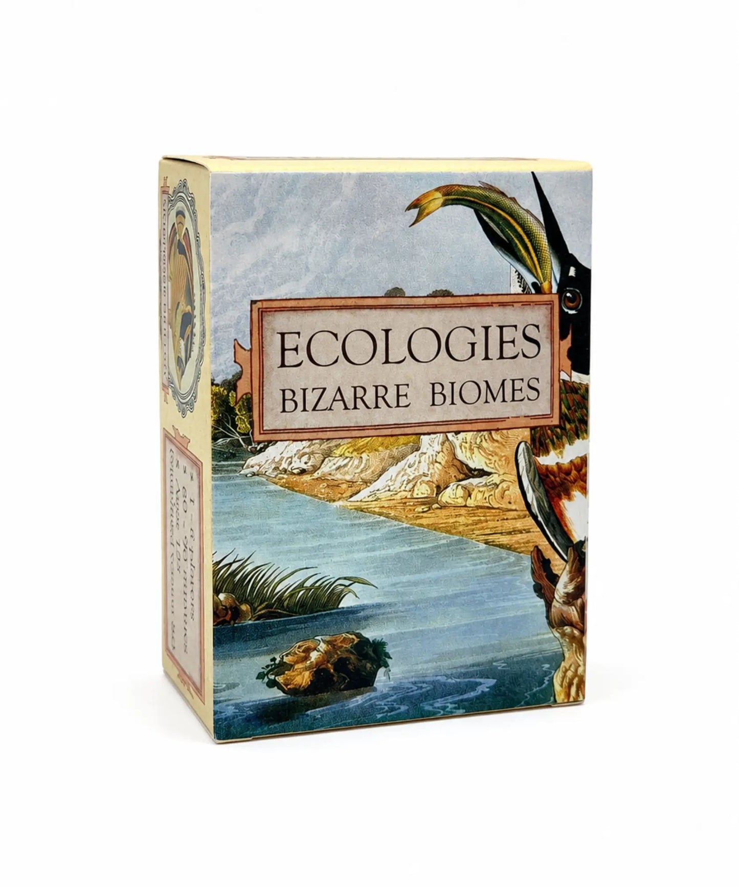 Ecologies Bizarre Biomes ecology strategy card game box with illustrated biome artwork