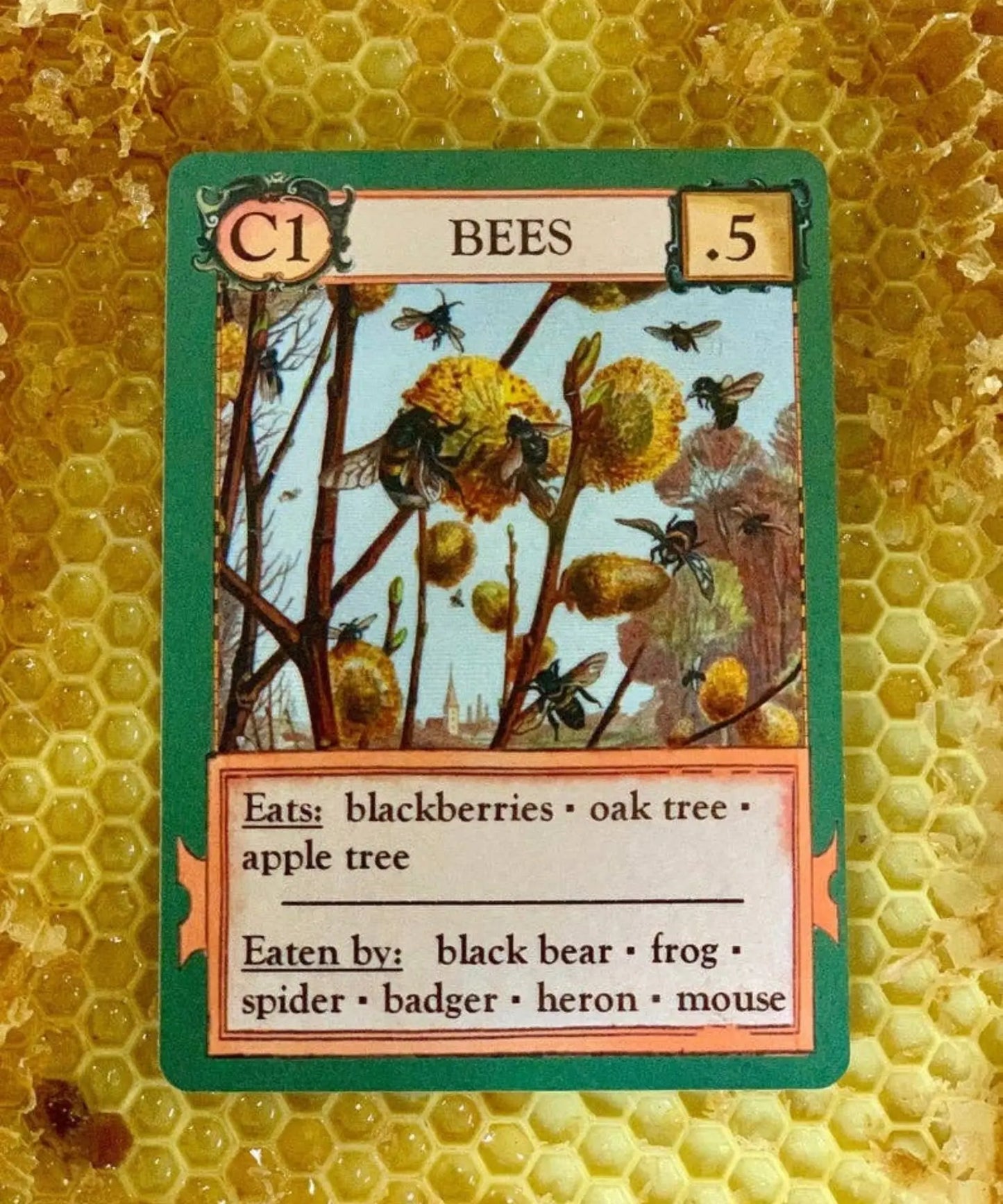 Bees organism card from Ecologies science card game photographed on honeycomb