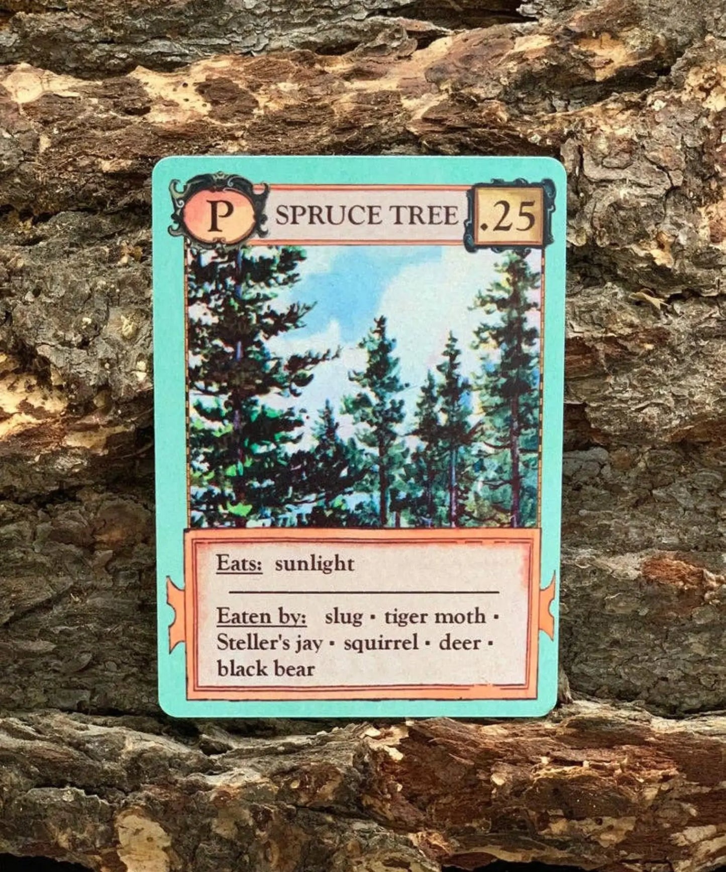 Spruce tree organism card from Ecologies science card game showing food web relationships