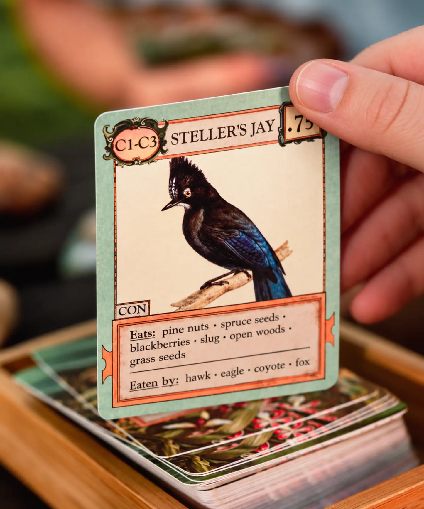 Steller's jay organism card from Ecologies Card Game with vintage natural history artwork