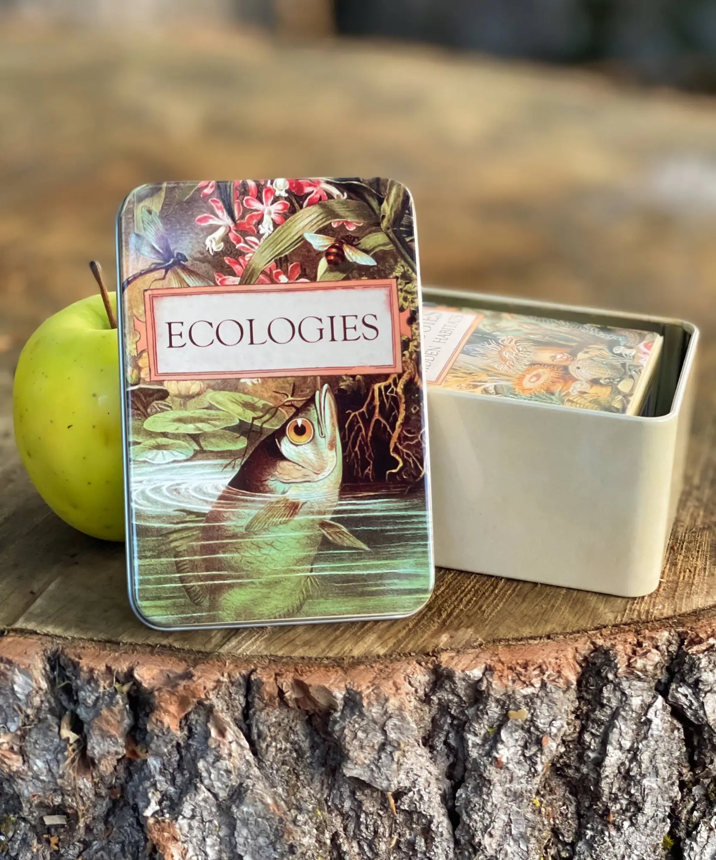 Ecologies metal storage tin with Archerfish lid and an Ecologies card deck stored inside