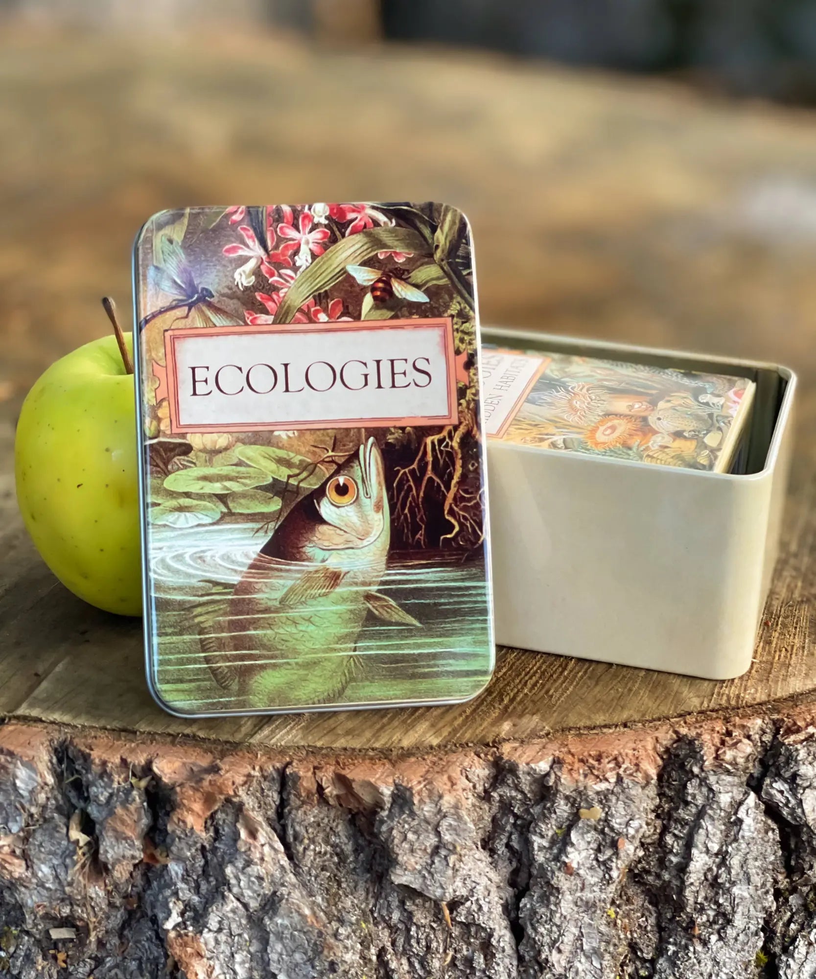 Ecologies metal storage tin with Archerfish lid and an Ecologies card deck stored inside