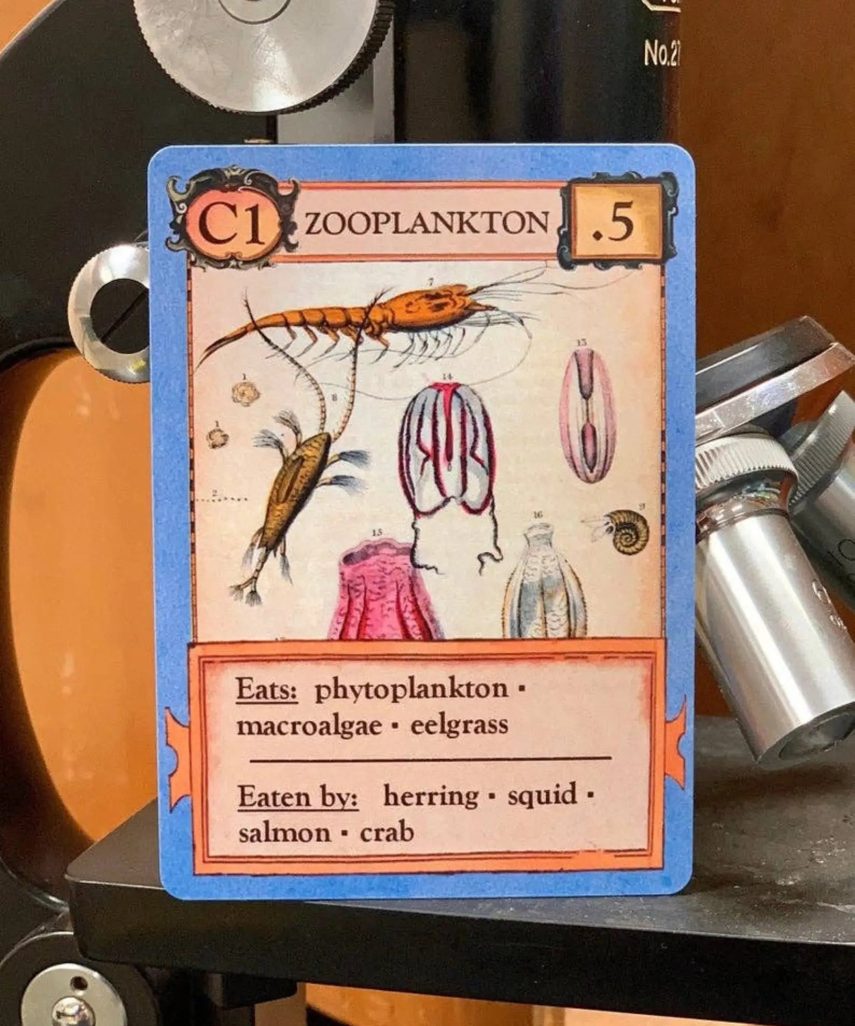 Zooplankton organism card from Ecologies Card Game with feeding relationships