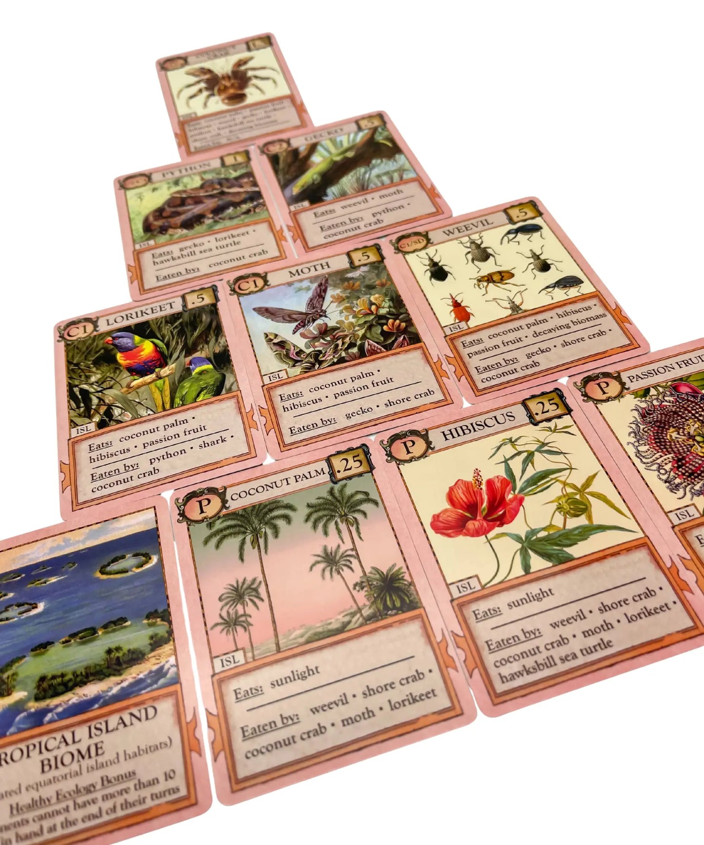 Ecologies Hidden Habitats playing cards layed out on a white tabletop