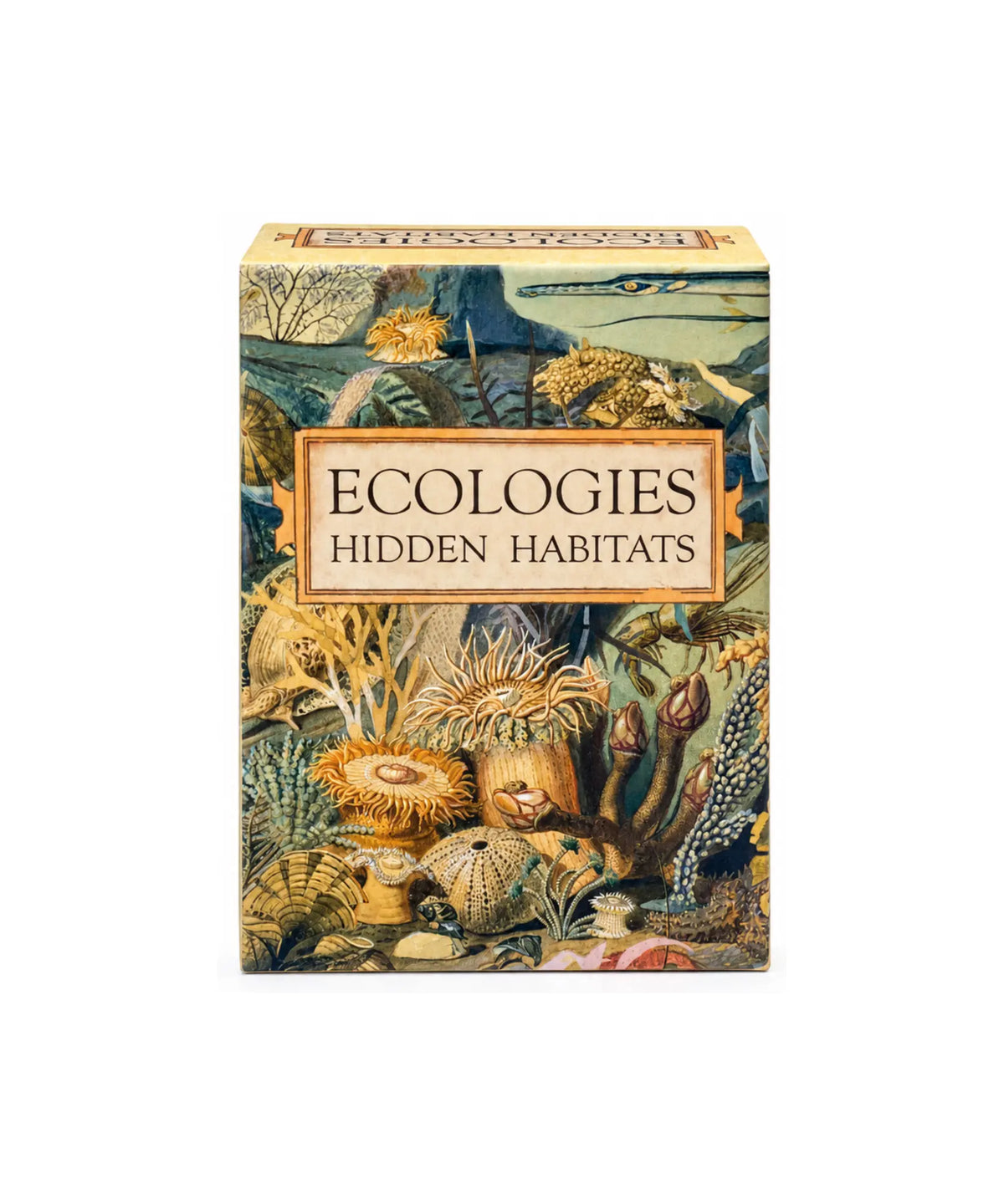Ecologies Hidden Habitats ecology and food web strategy card game box on a white background