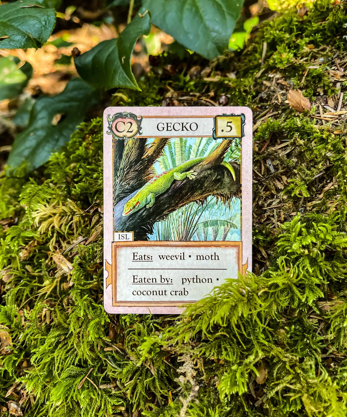 Gecko consumer card from Ecologies Hidden Habitats ecology and food web game