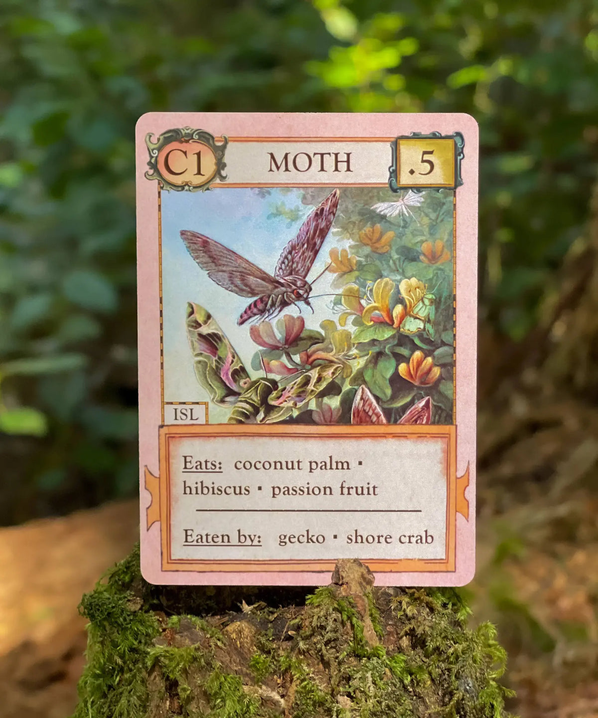 Moth organism card from Ecologies Hidden Habitats science card game