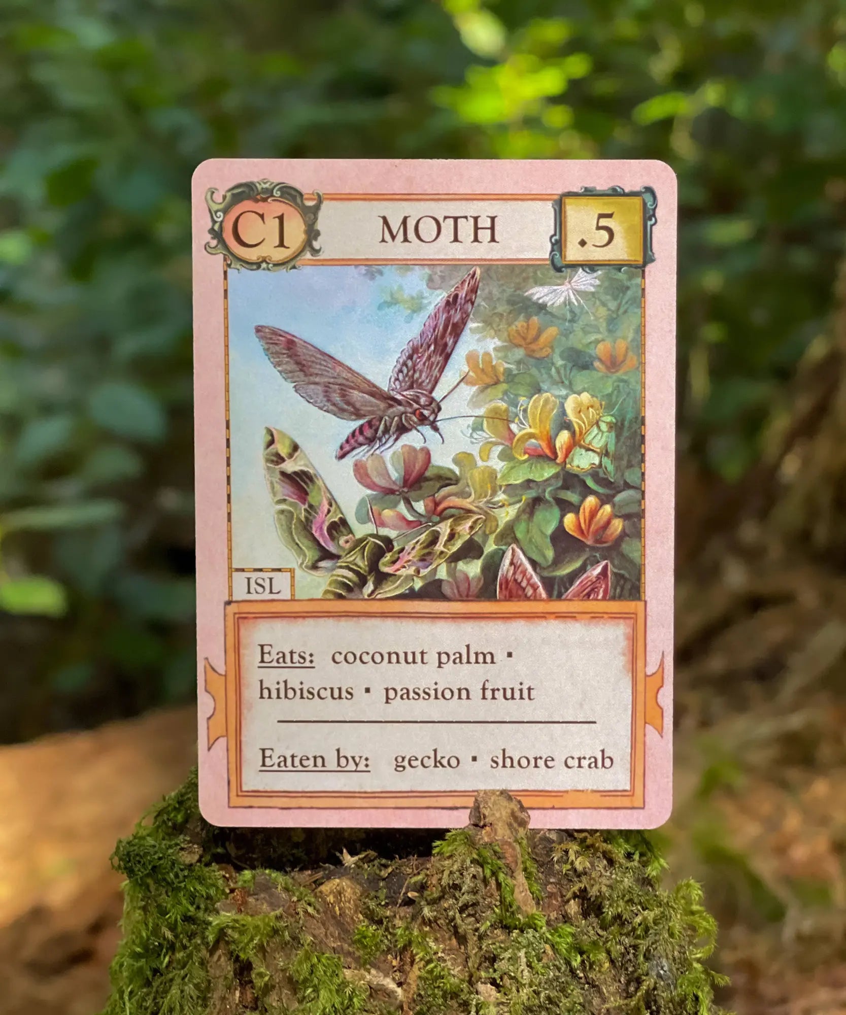 Moth organism card from Ecologies Hidden Habitats science card game