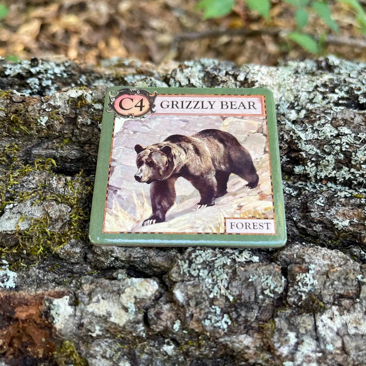 Grizzly bear forest organism tile from Ecologies Junior Forest food web game for kids