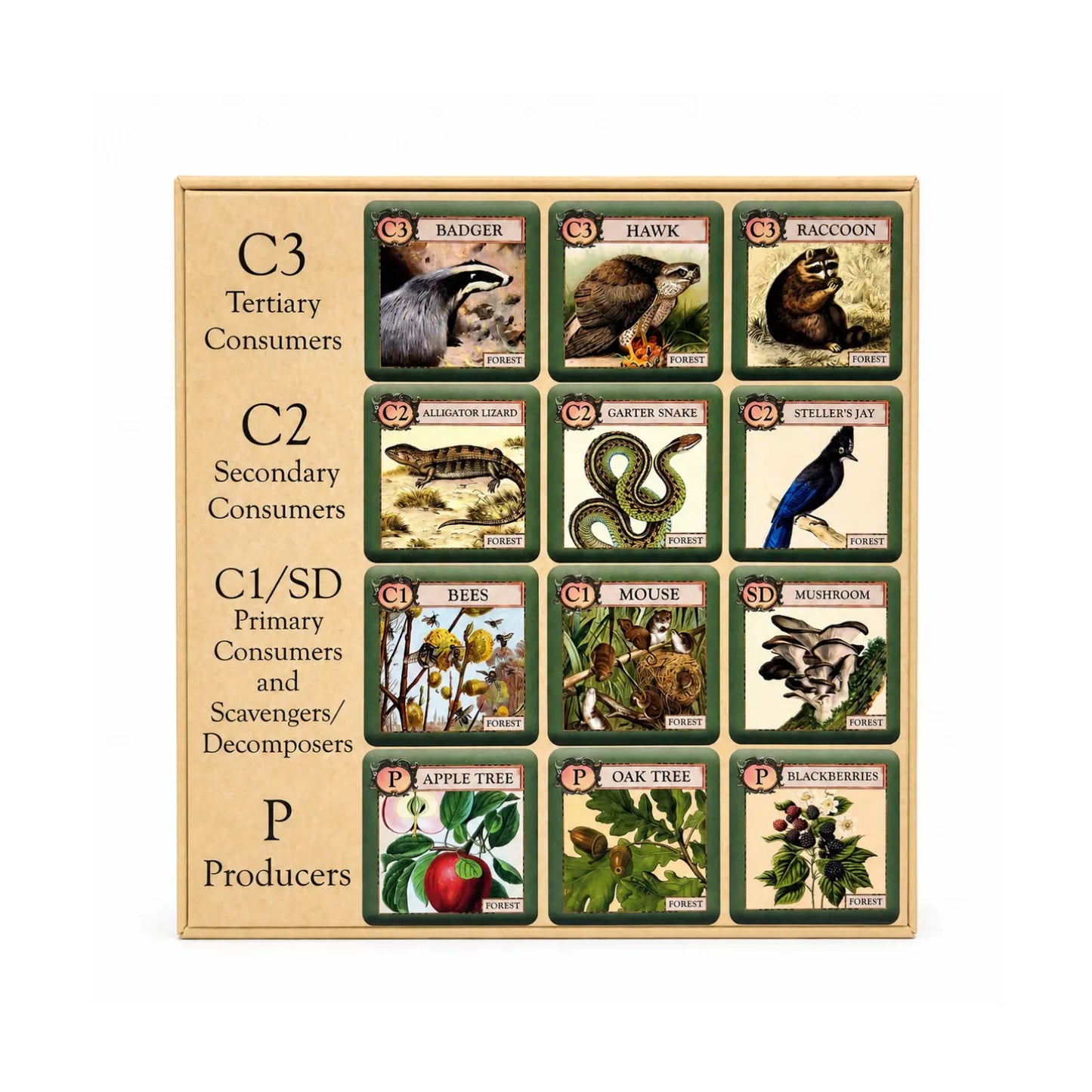 Garter snake secondary consumer tile from Ecologies Junior Forest ecology game