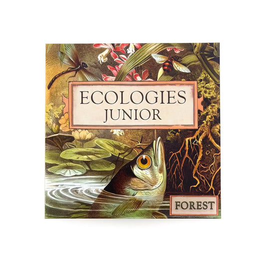 Ecologies Junior Forest food web and ecology game box with illustrated forest ecosystem artwork