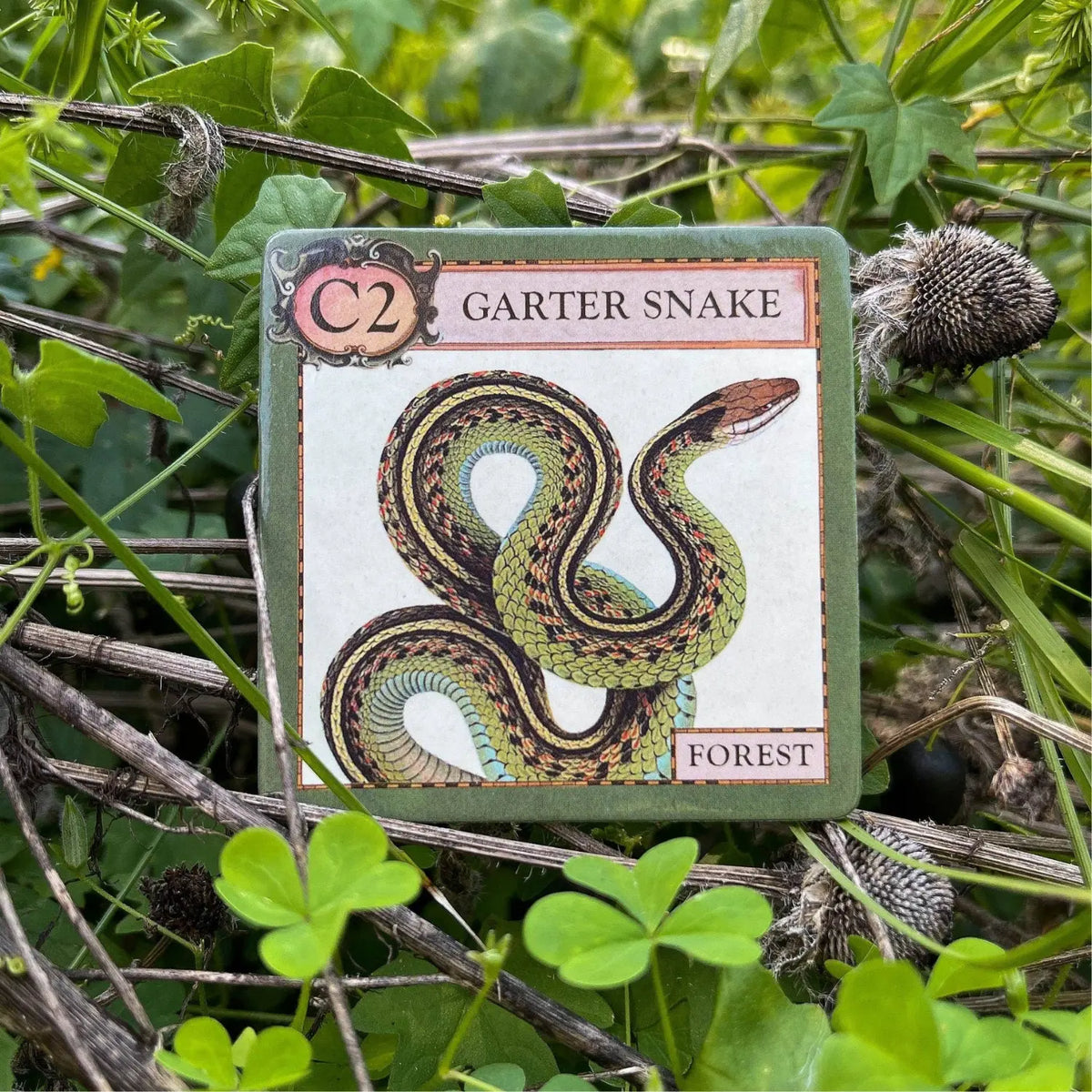 Garter snake secondary consumer tile from Ecologies Junior Forest ecology game