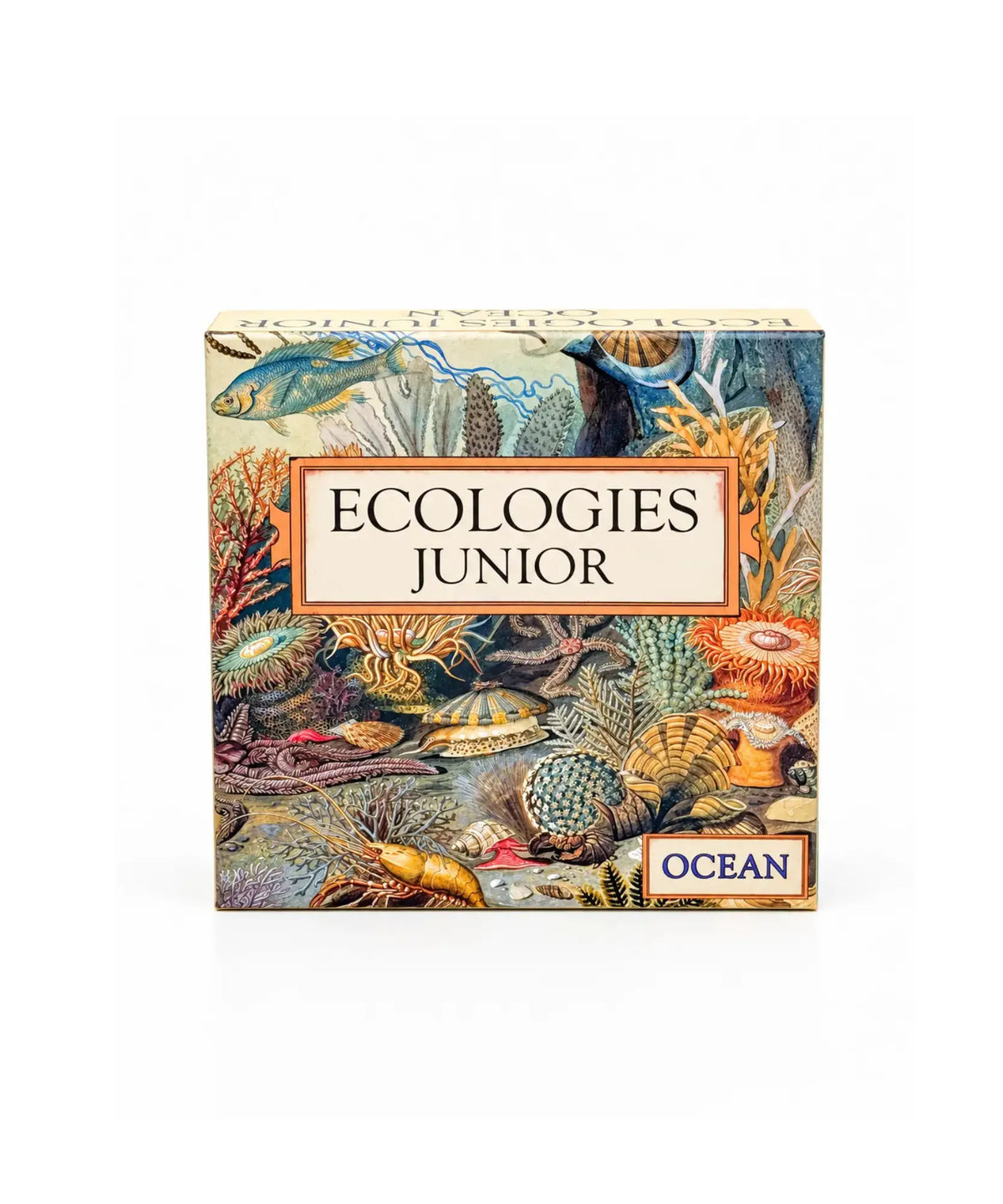 Front of Ecologies Junior: Ocean game box showing marine organisms as producers, primary, secondary, and tertiary consumers