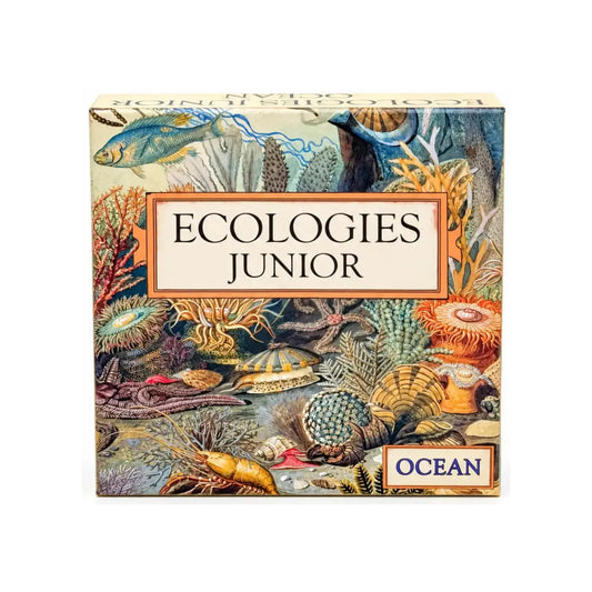 Front of Ecologies Junior: Ocean game box showing marine organisms as producers, primary, secondary, and tertiary consumers
