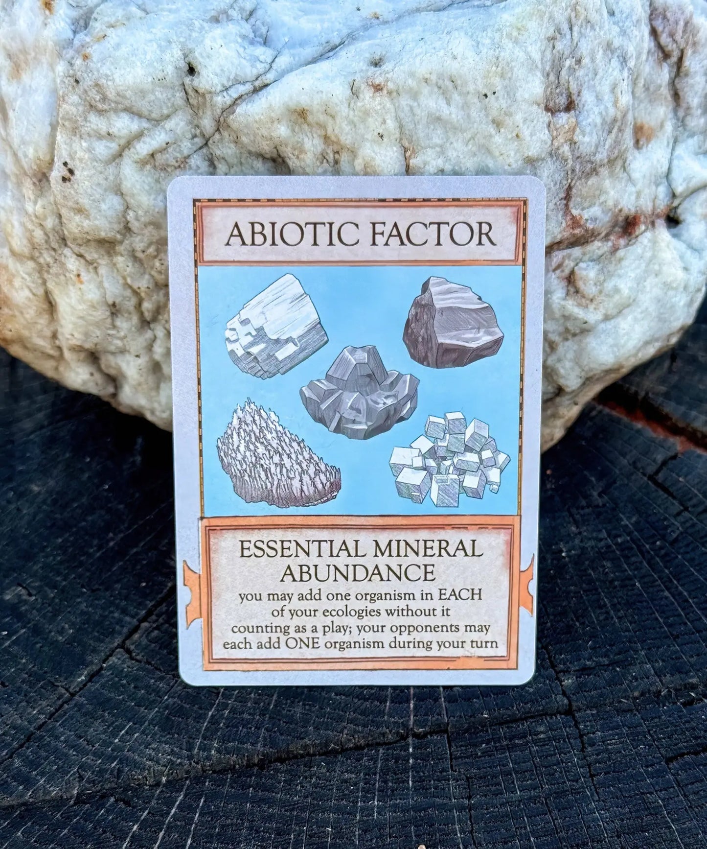 Essential Mineral Abundance abiotic factor card from Ecologies Marvelous Microbes