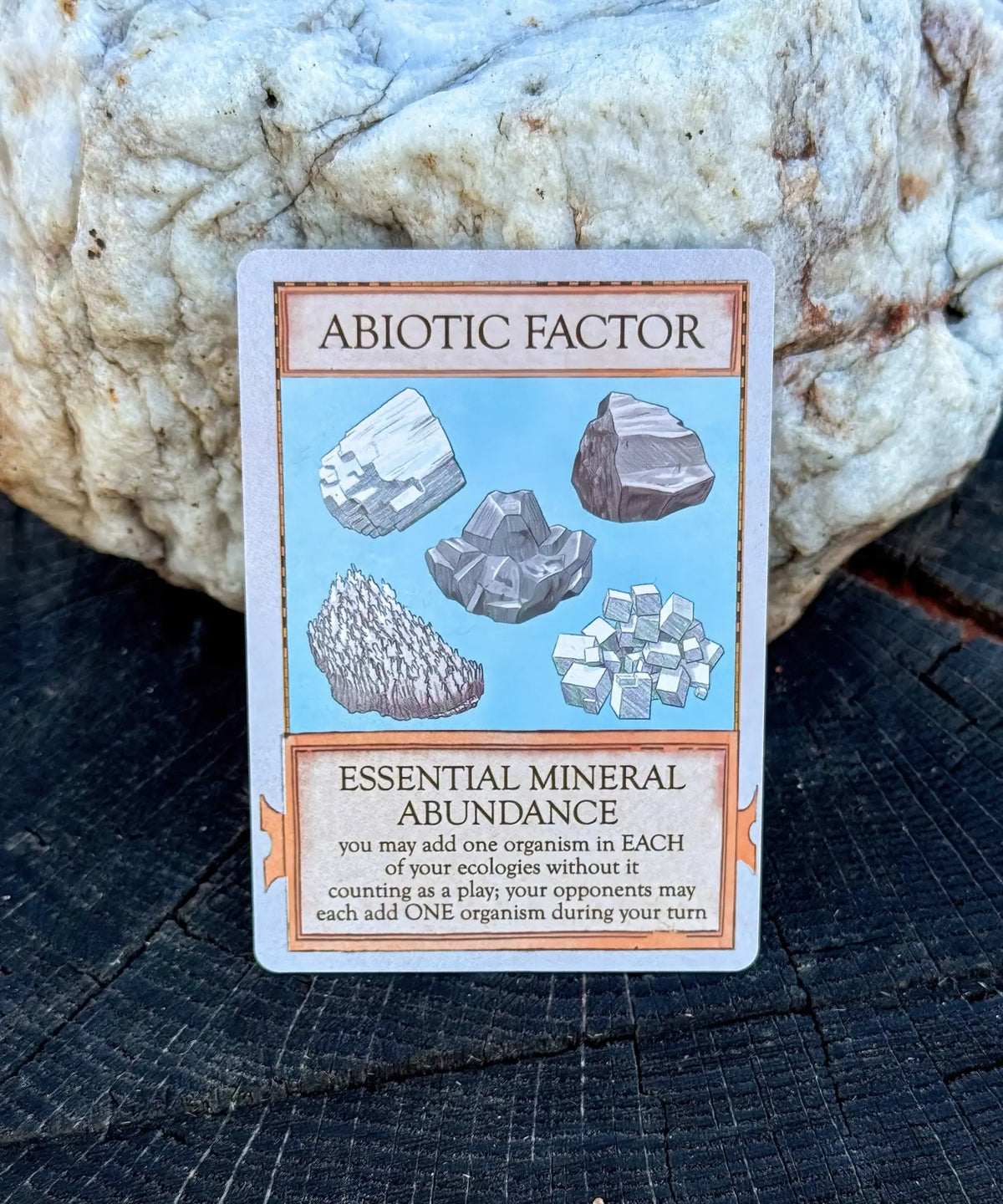 Essential Mineral Abundance abiotic factor card from Ecologies Marvelous Microbes