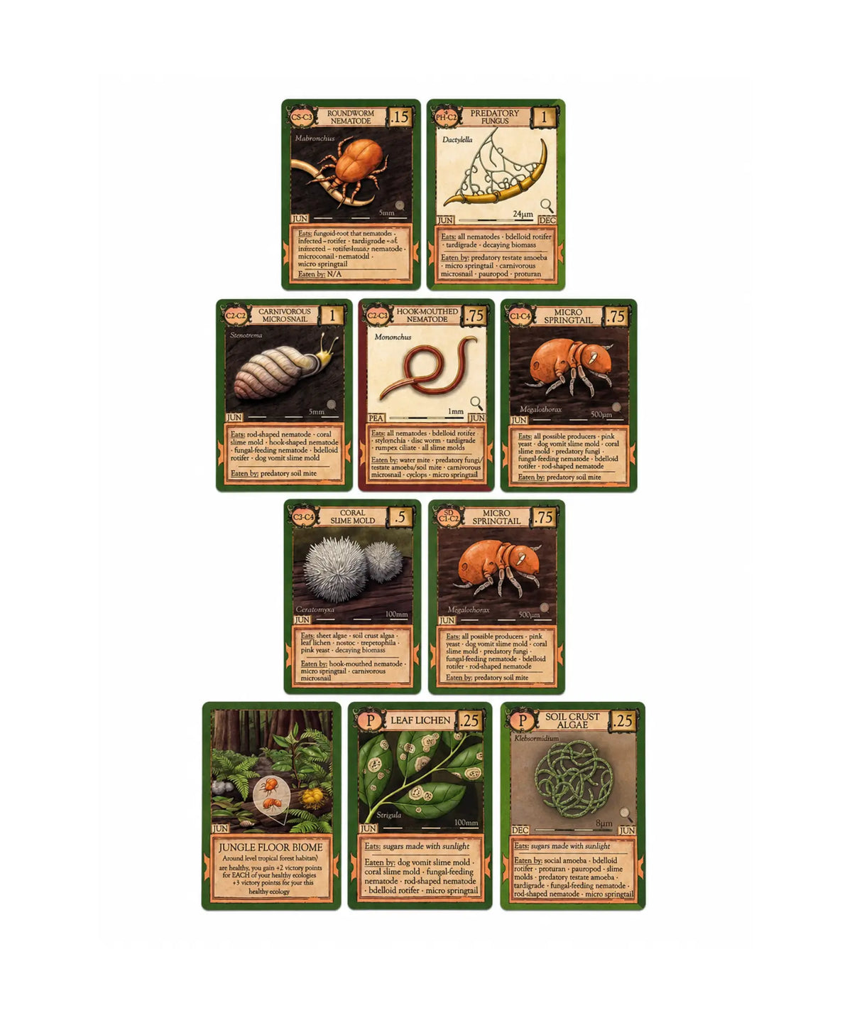 Ecologies Marvelous Microbes ecology card game with organism and biome cards arranged in a food web