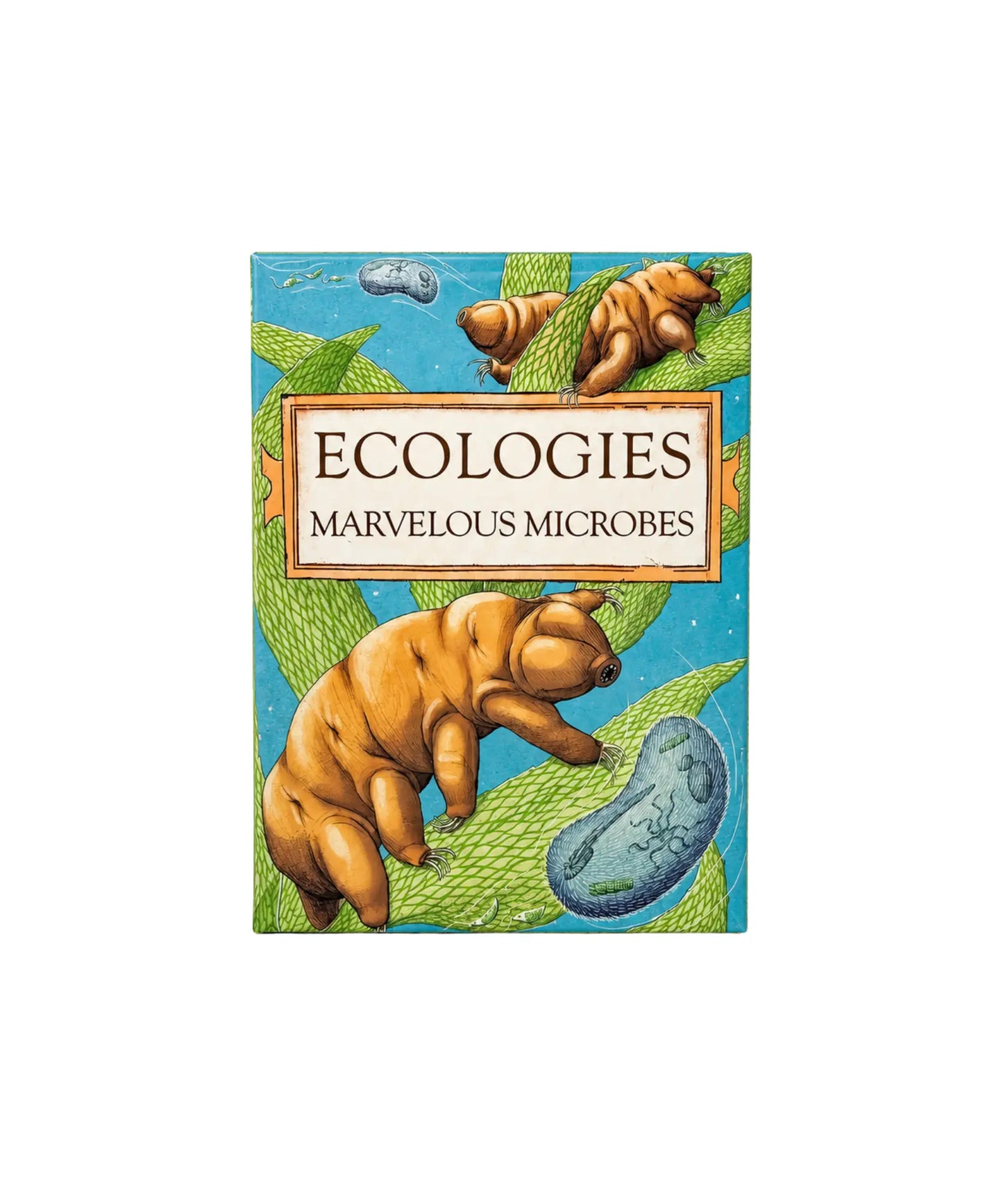Ecologies Marvelous Microbes ecology and biology strategy card game box