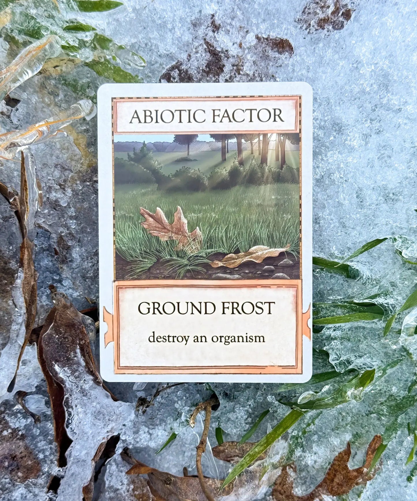 Ground Frost abiotic factor card from Ecologies Marvelous Microbes ecology strategy game