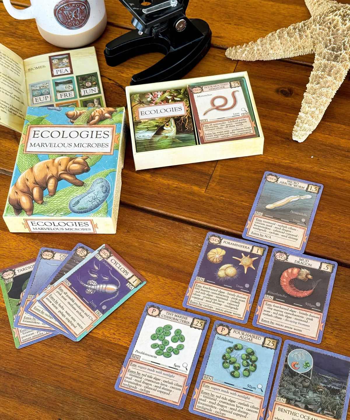 Ecologies Marvelous Microbes ecology game set up with microscope for homeschool science and biology study