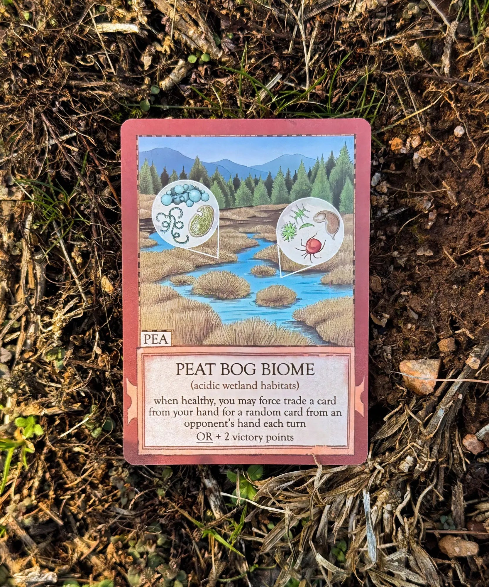 Peat Bog Biome card from Ecologies Marvelous Microbes ecology game