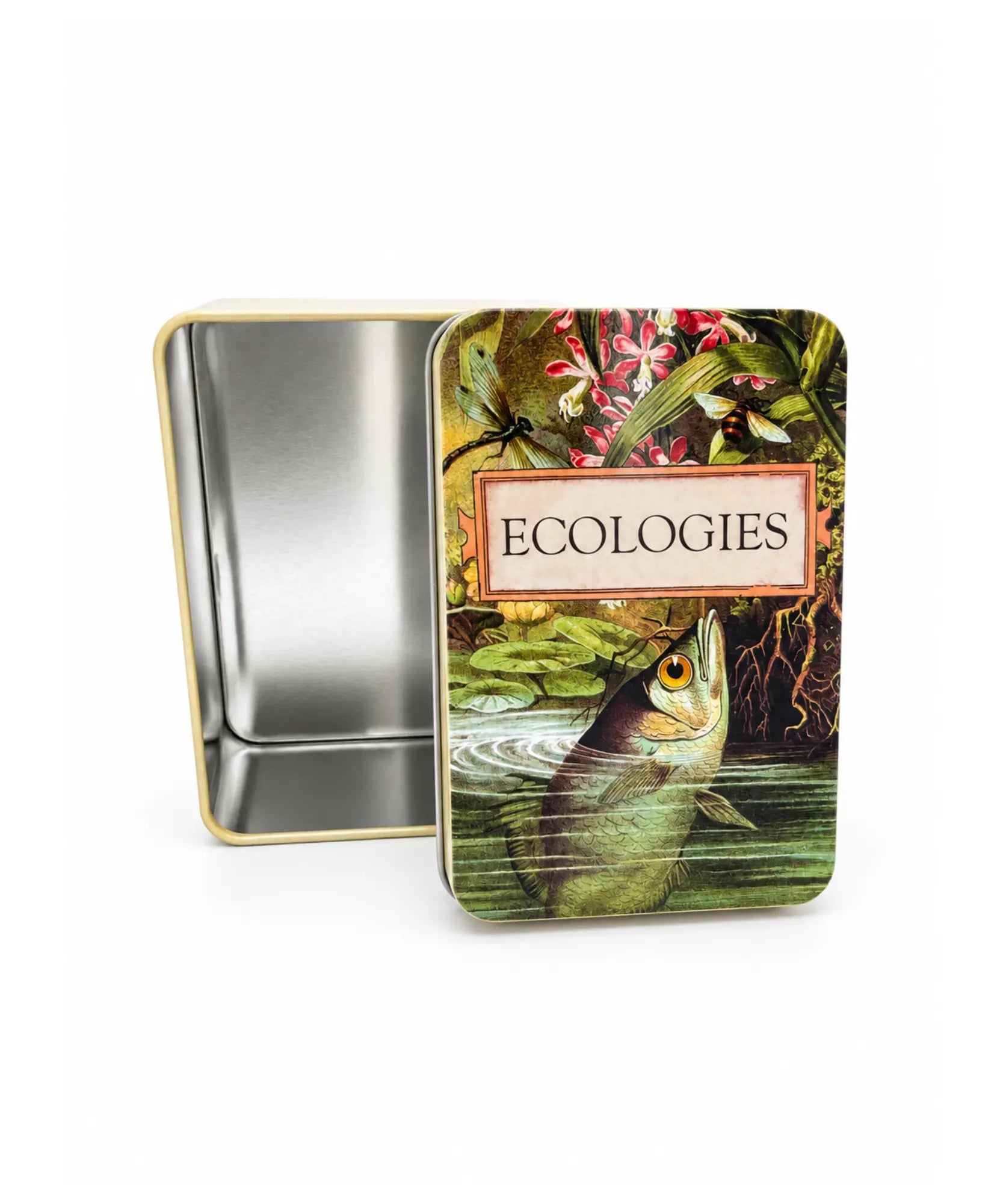 Ecologies metal card storage tin shown open and empty with illustrated Archerfish lid