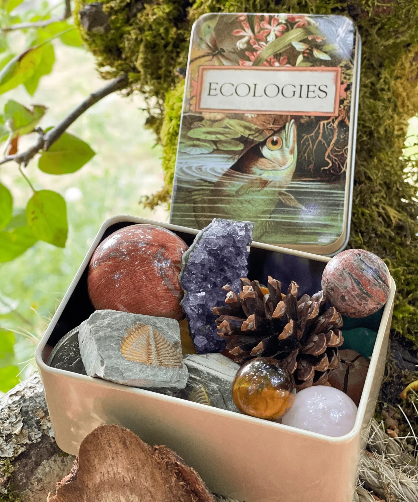 Open Ecologies metal storage tin holding rocks, crystals, fossils, pinecones, and other small nature treasures