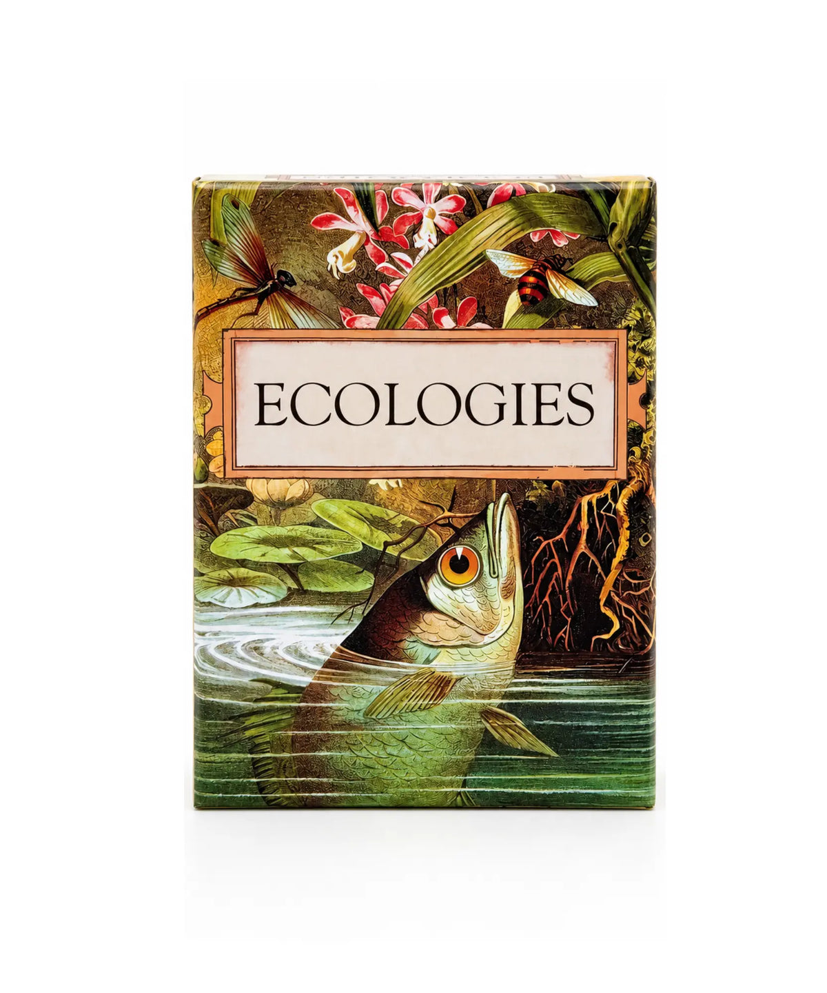 Ecologies Card Game box with vintage fish, insects, flowers, and aquatic artwork