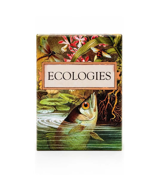 Ecologies Card Game box with vintage fish, insects, flowers, and aquatic artwork