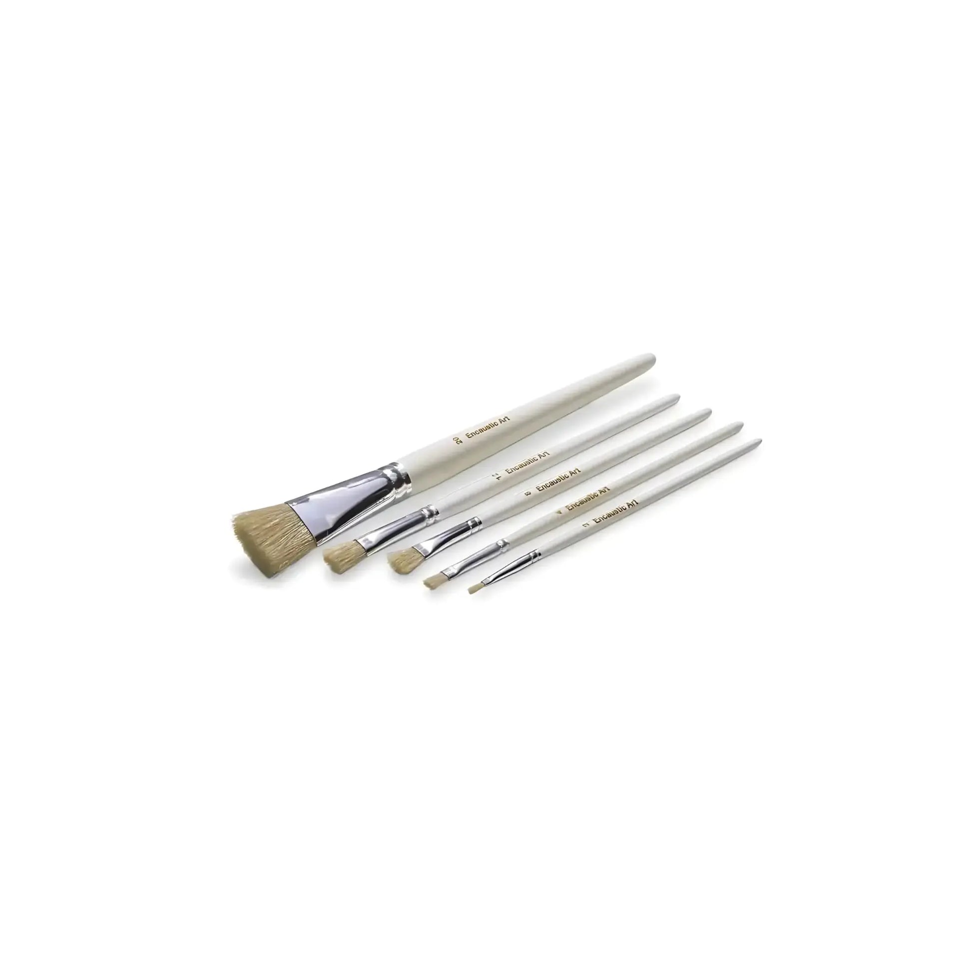 Natural Encaustic Wax hog hair paintbrush set of 5 on a white background