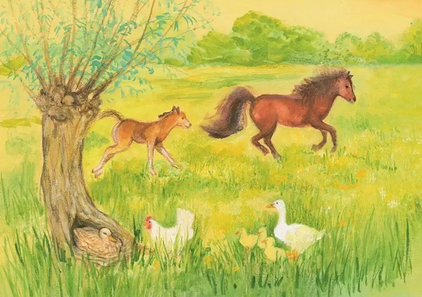 Farm animal postcard by Marjan van Zeyl featuring a young foal, horse, ducks, hen, and spring meadow