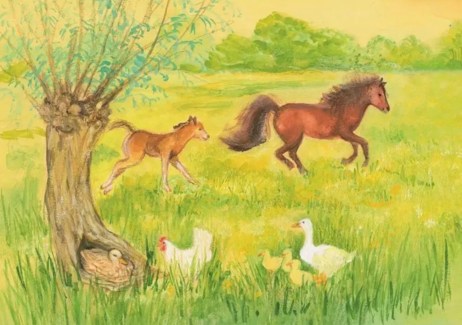 Farm animal postcard by Marjan van Zeyl featuring a young foal, horse, ducks, hen, and spring meadow