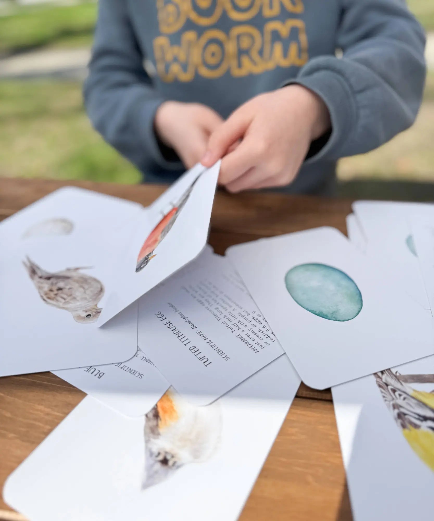 Child holding a card with nature-themed illustrations on a wooden surface